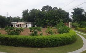Maharaja Farm Photos 3*